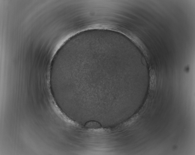 X0000116480896200912231128