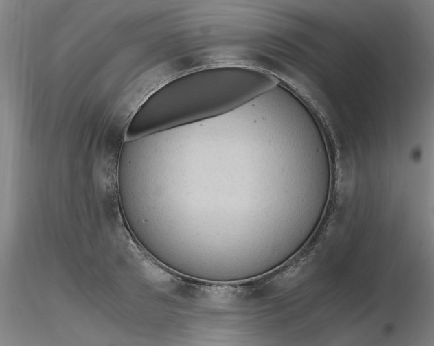 X0000116480897200912231128