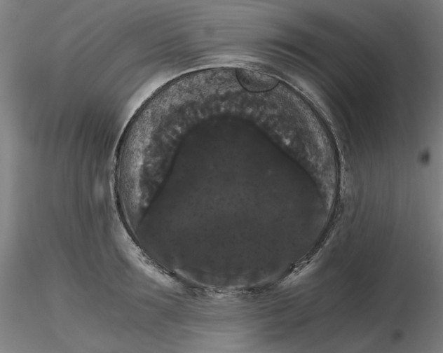 X0000116480899200912231128