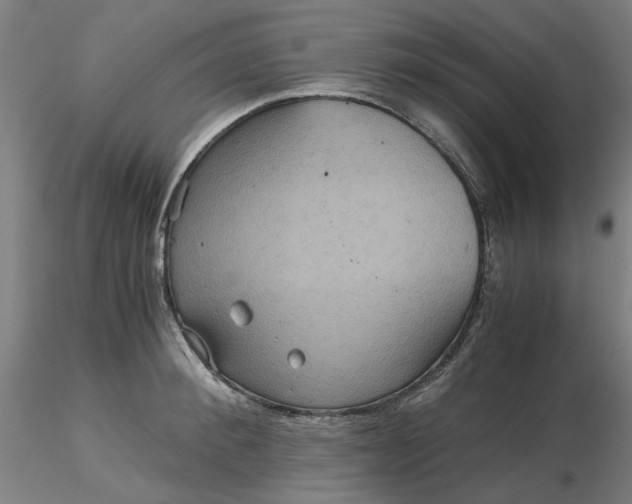 X0000116480900200912231128