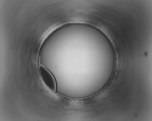 X0000116480901200912231128