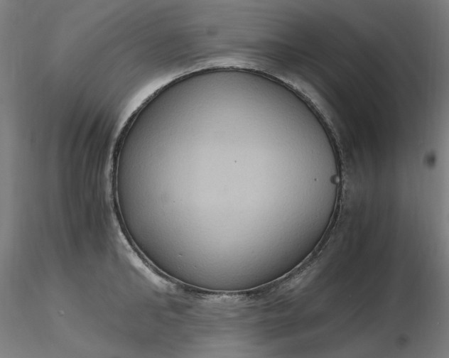 X0000116480902200912231128