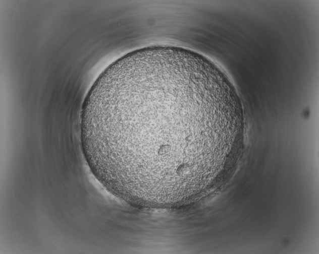 X0000116480903200912231128