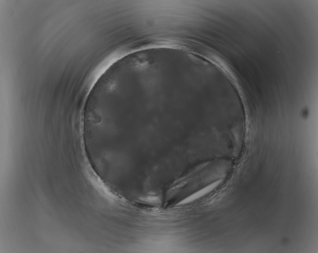 X0000116480907200912231128