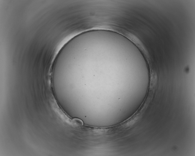 X0000116480908200912231128