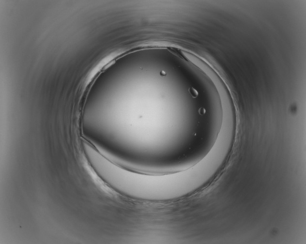 X0000116480909200912231128