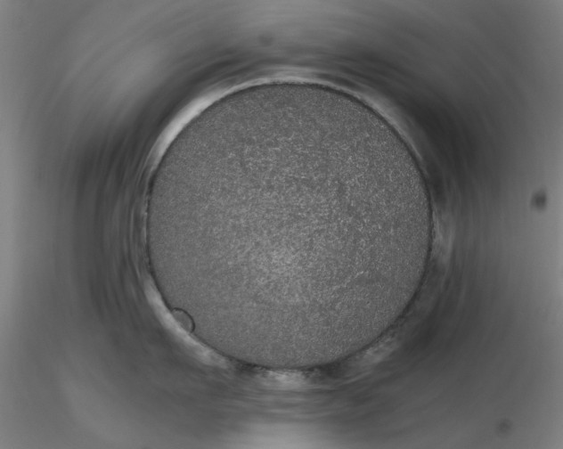 X0000116480911200912231128