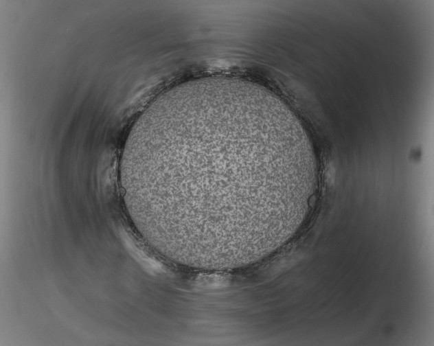 X0000116480914200912231127