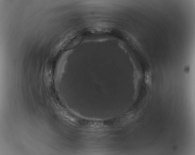 X0000116480915200912231127