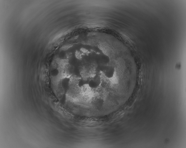 X0000116480917200912231127