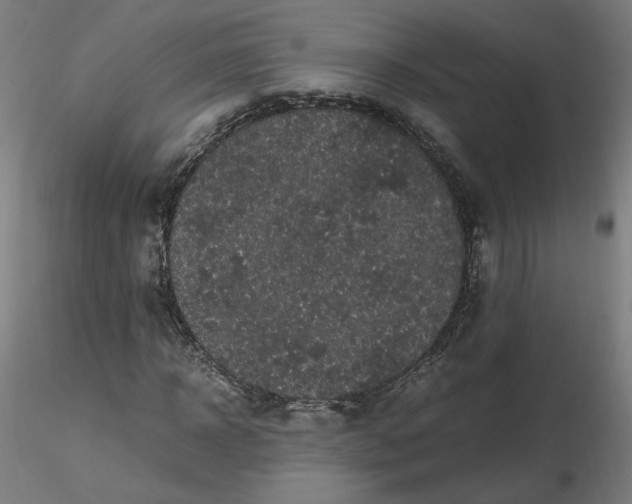 X0000116480918200912231127