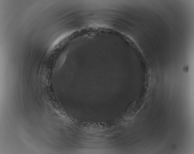 X0000116480919200912231127