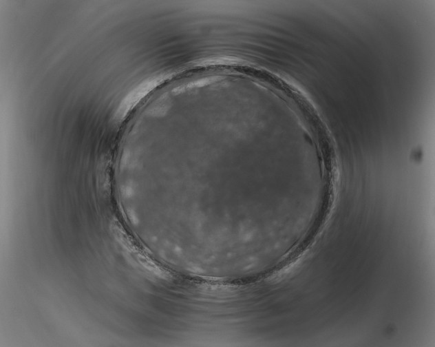 X0000116480921200912231127