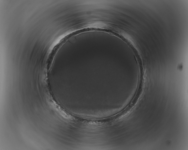 X0000116480923200912231127