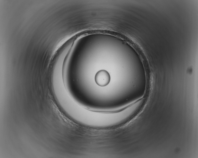 X0000116480925200912231127