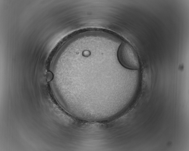 X0000116480926200912231127