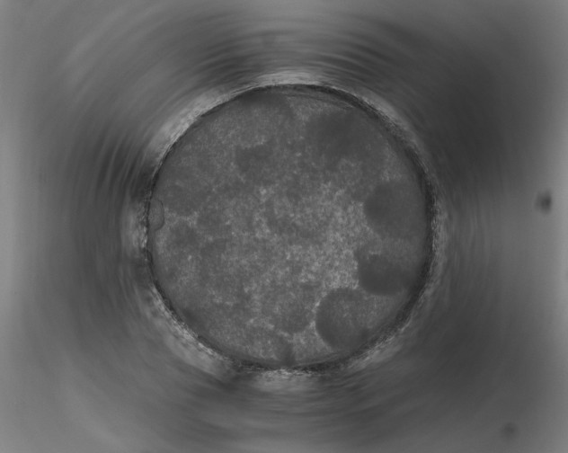 X0000116480929200912231127