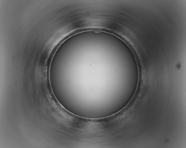 X0000116480933200912231127