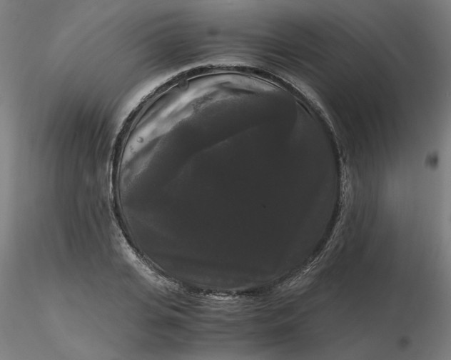 X0000116480935200912231127