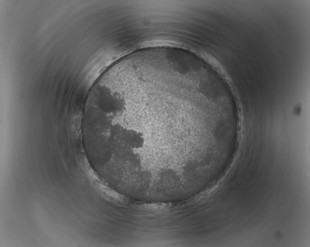 X0000116480937200912231127