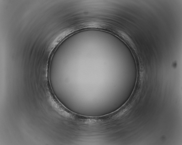 X0000116480938200912231127