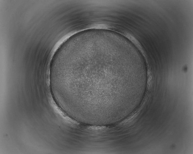 X0000116480939200912231127