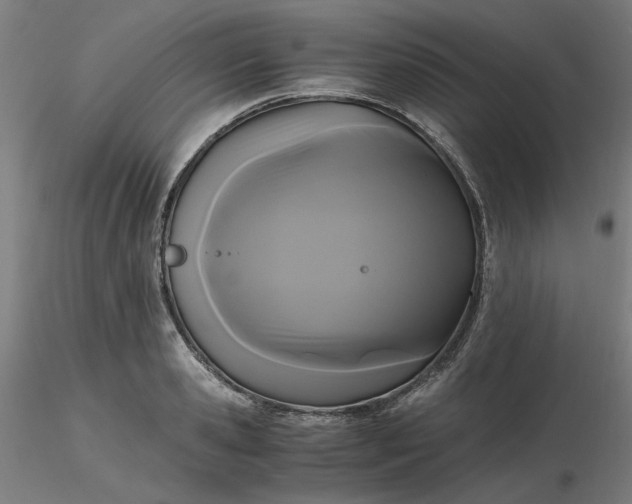 X0000116480941200912231127