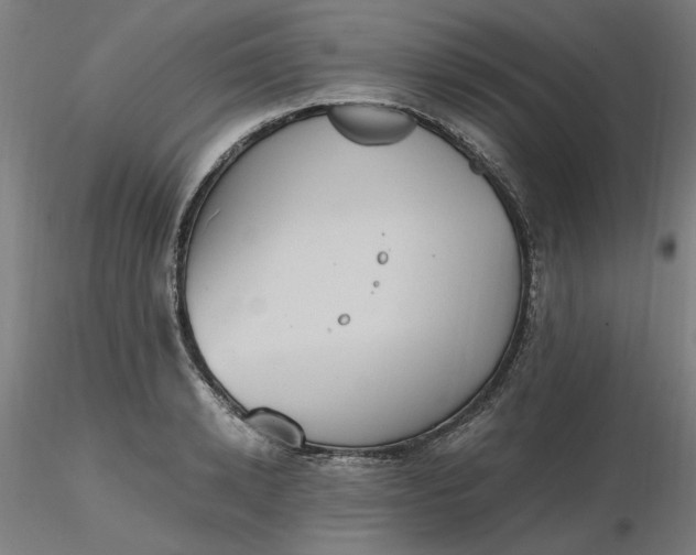 X0000116480942200912231127