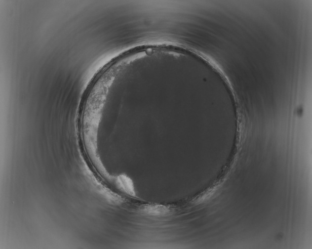 X0000116480943200912231127