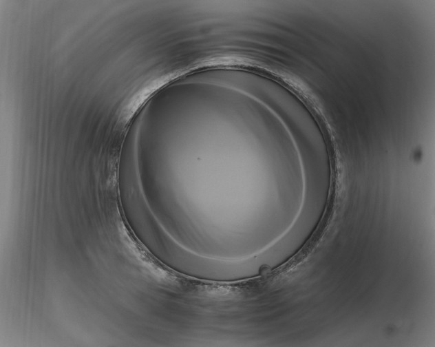 X0000116480945200912231127