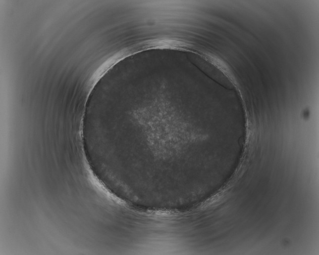 X0000116480946200912231128