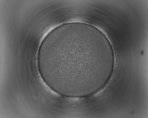 X0000116480949200912231128