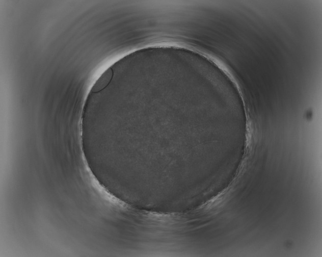 X0000116480951200912231128