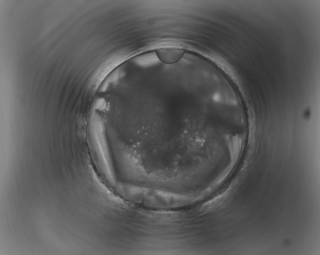 X0000116480953200912231128