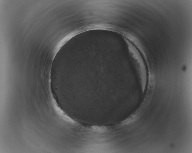 X0000116480954200912231128