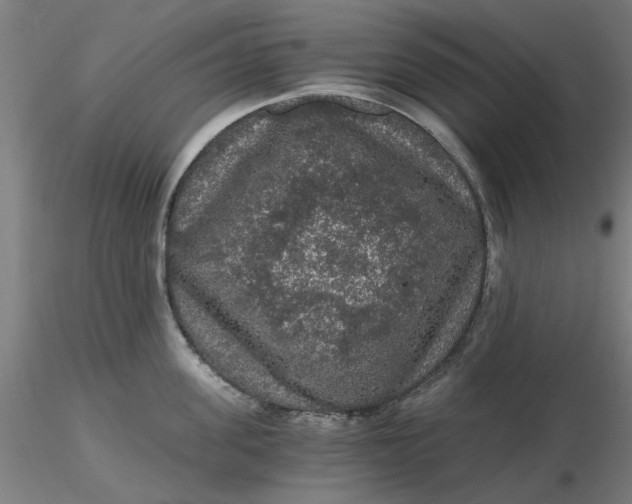 X0000116480955200912231128