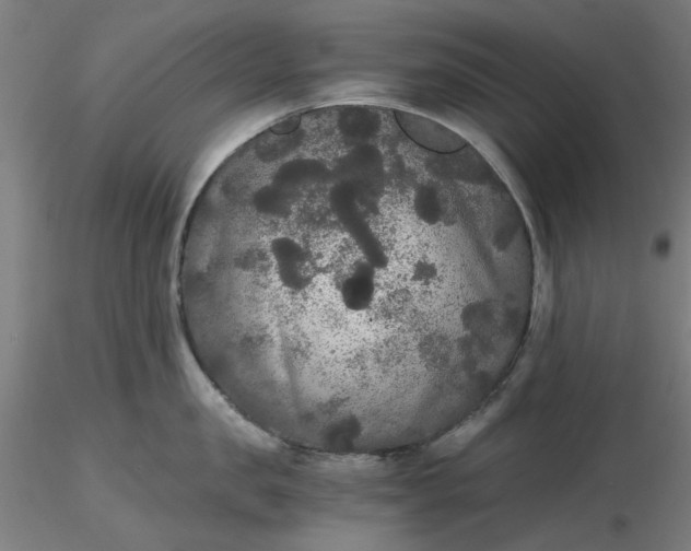 X0000116480957200912231128