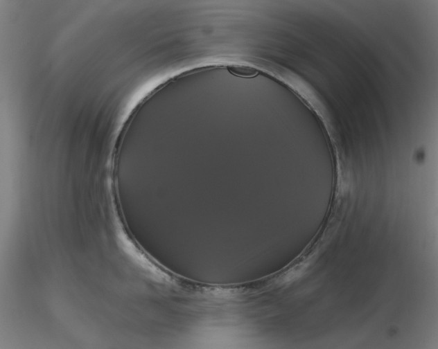 X0000116480958200912231128