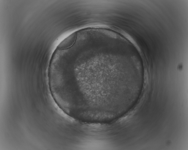 X0000116480959200912231128