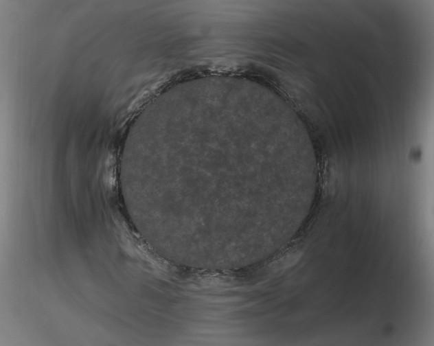 X0000116480962200912231127