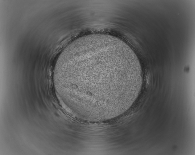 X0000116480964200912231127