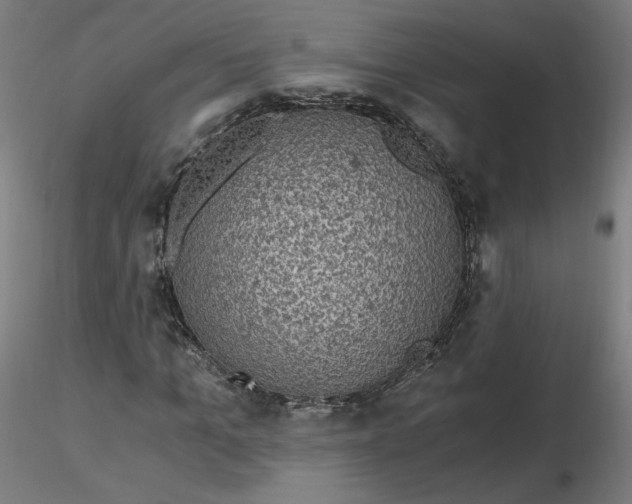 X0000116480965200912231127