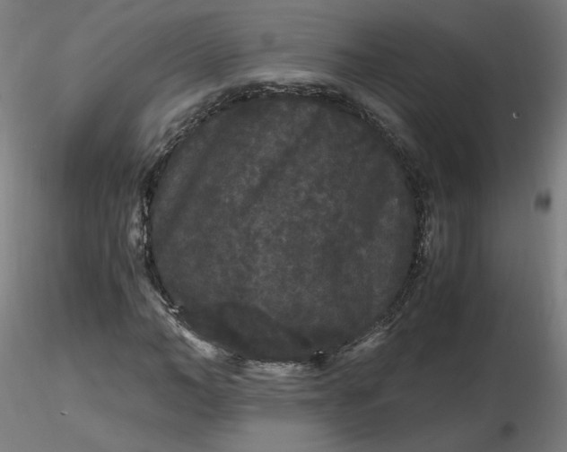 X0000116480966200912231127