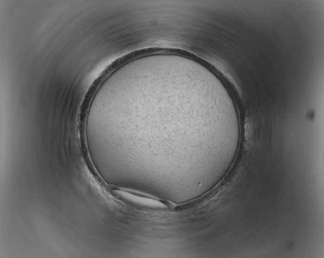 X0000116480972200912231127