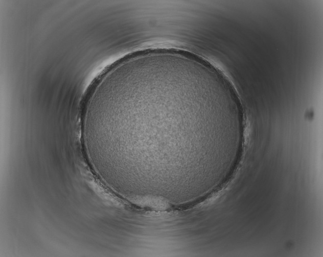 X0000116480973200912231127