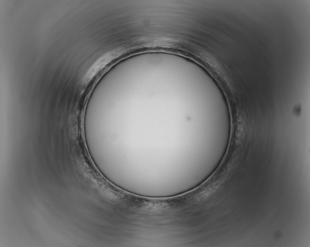 X0000116480978200912231127