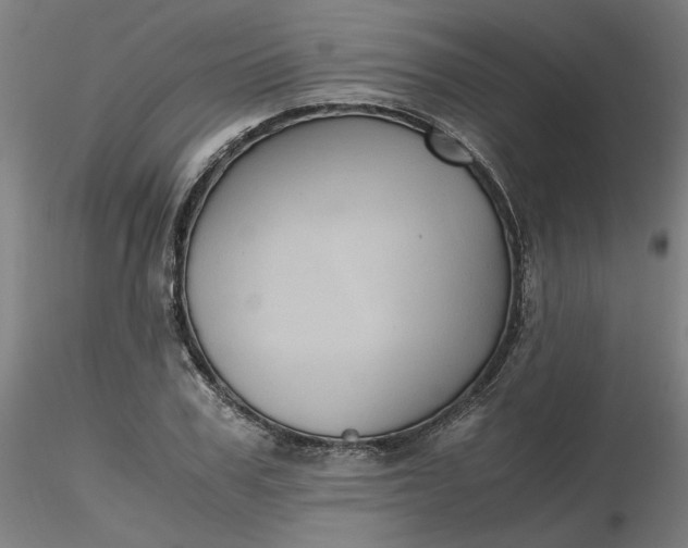 X0000116480979200912231127