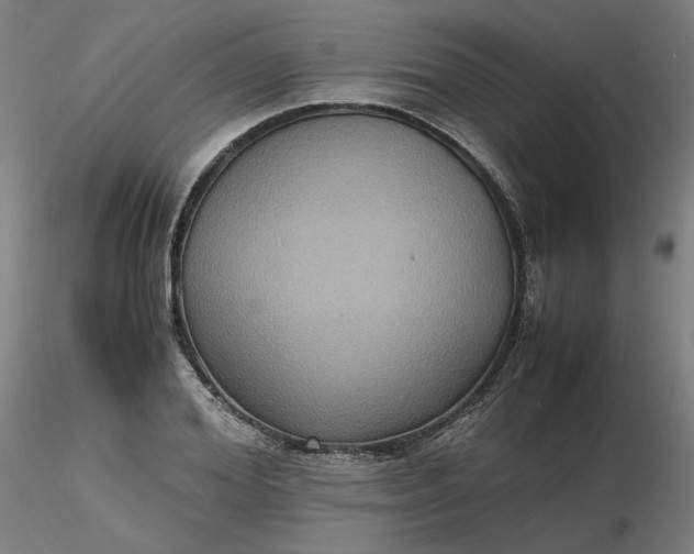 X0000116480980200912231127