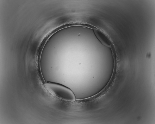 X0000116480981200912231127