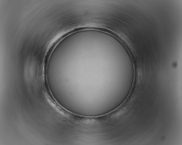 X0000116480982200912231127